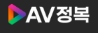 AV정복